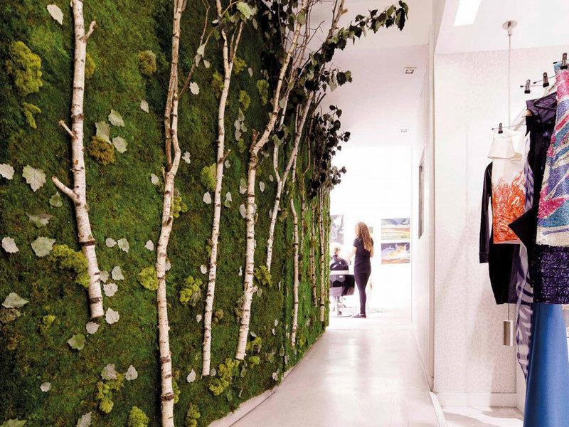 Jardín Vertical Paredes 3DI Diseño Interiores